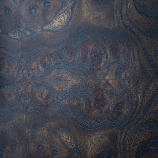 Elm Burl