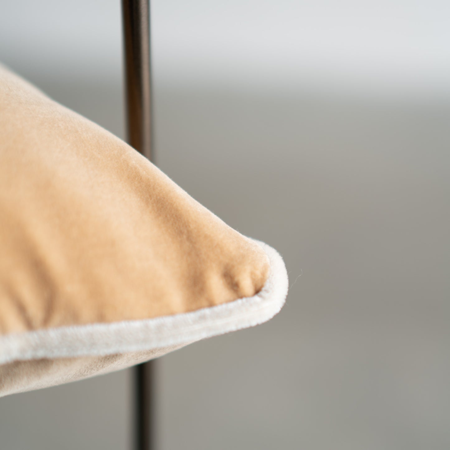 Sierra Chair x Tali Roth