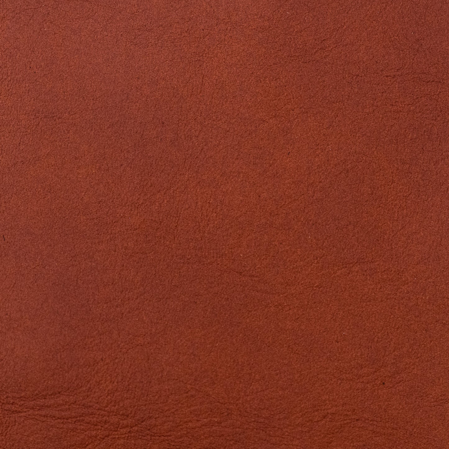 Chestnut