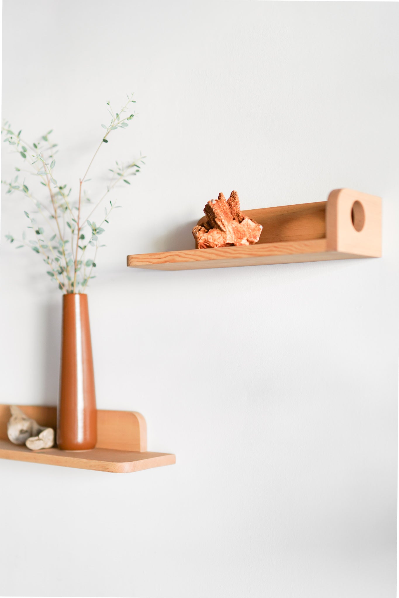 Milo shelves
