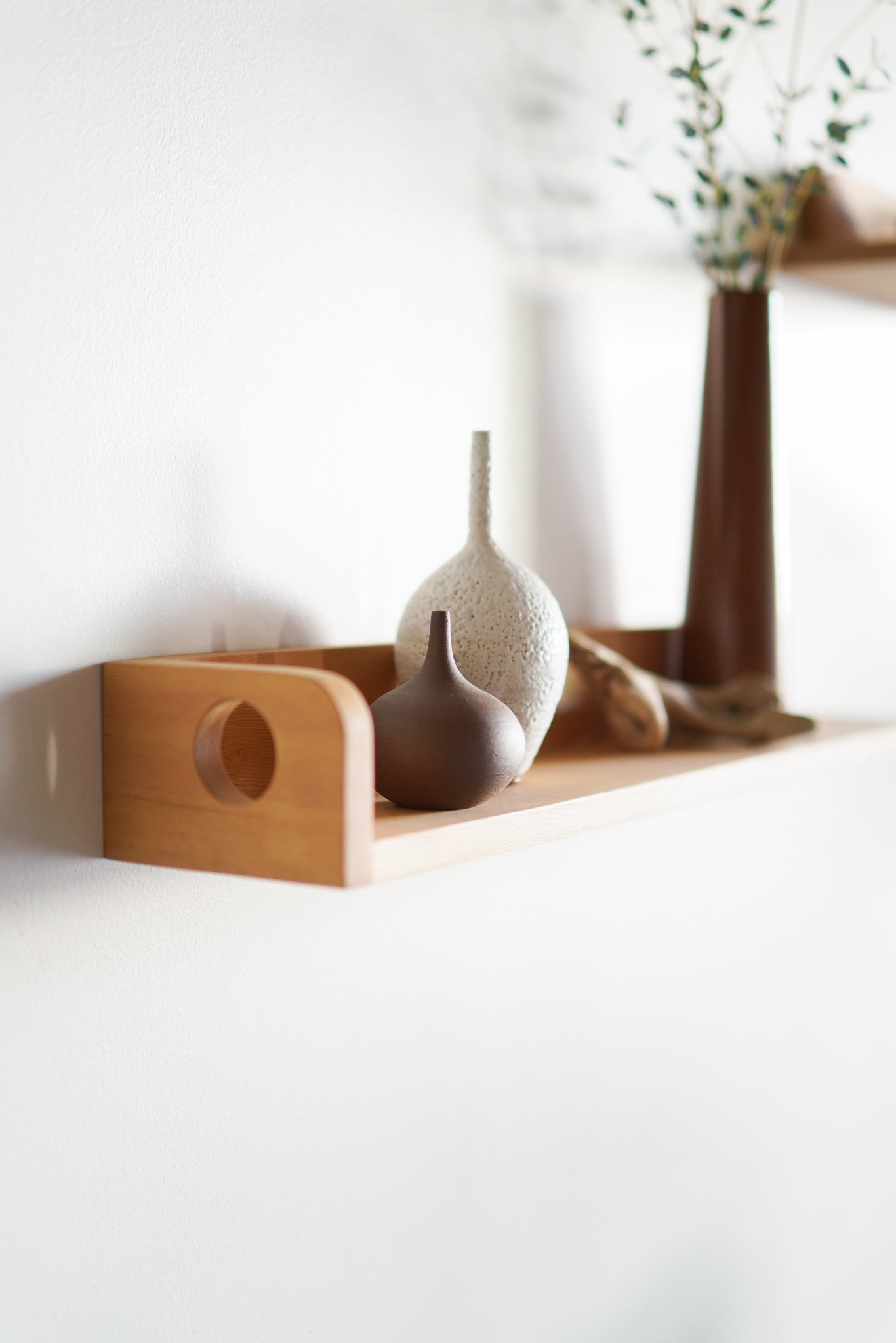 Milo shelves
