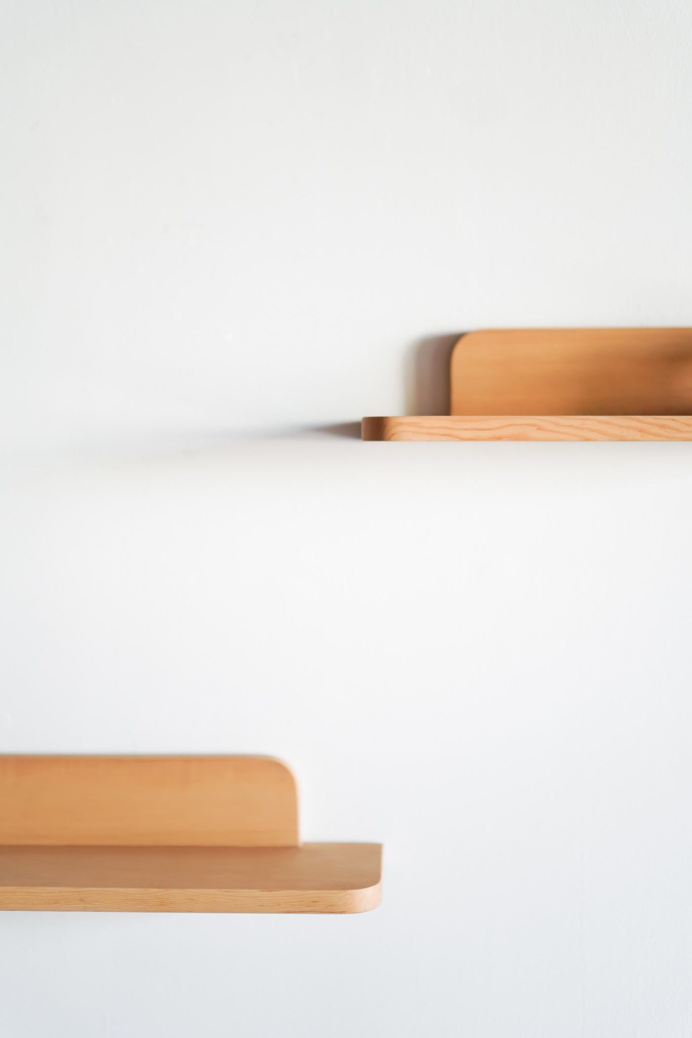 Milo shelves
