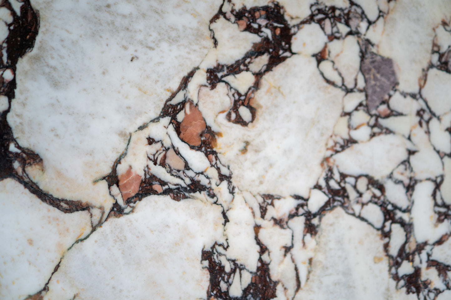 Mira coffee table marble top