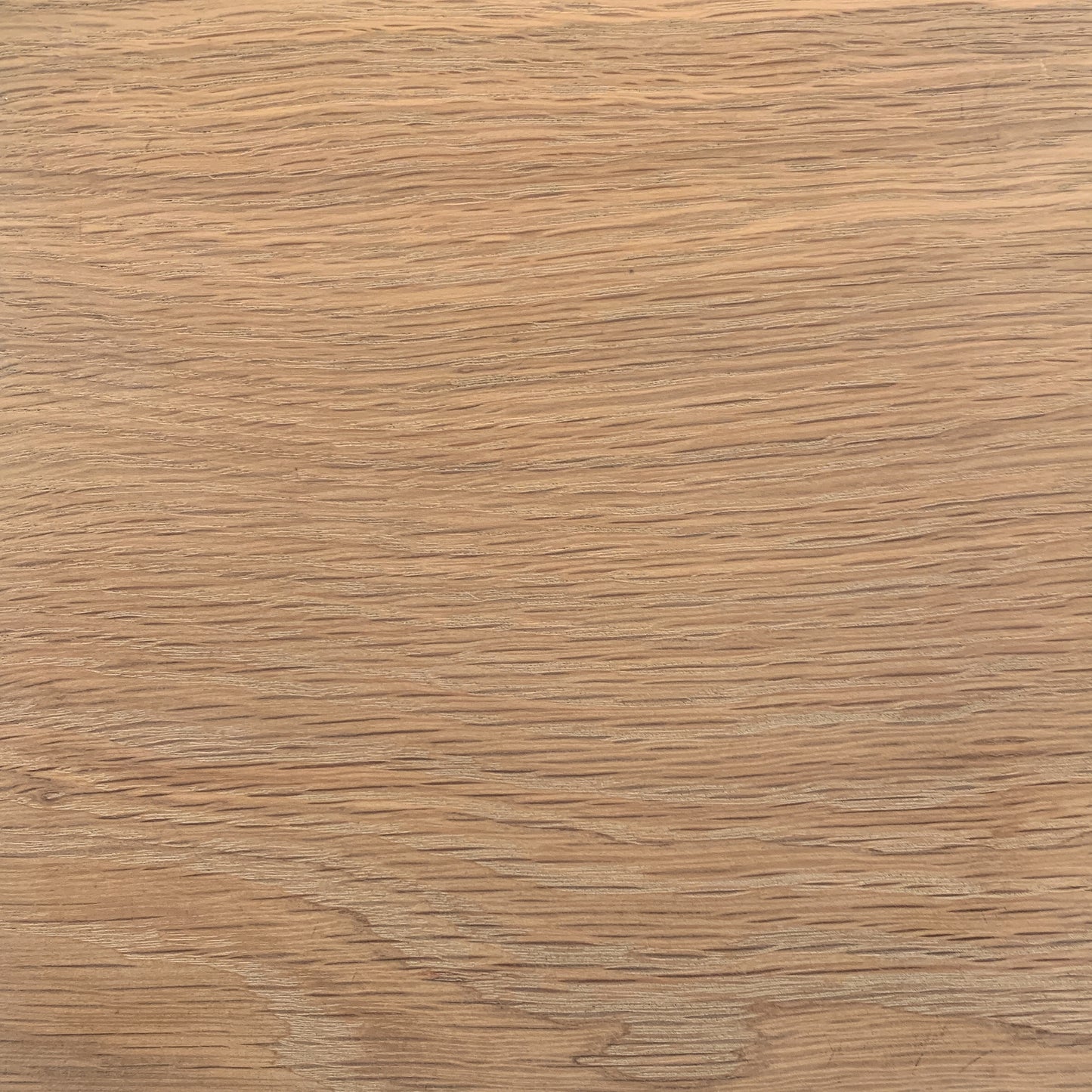 Oak, Cornsilk