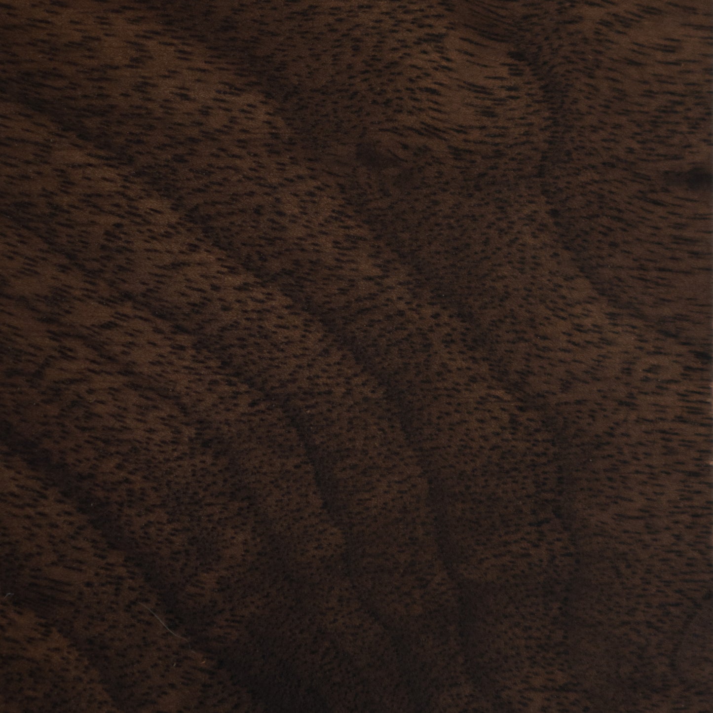 Walnut, Black