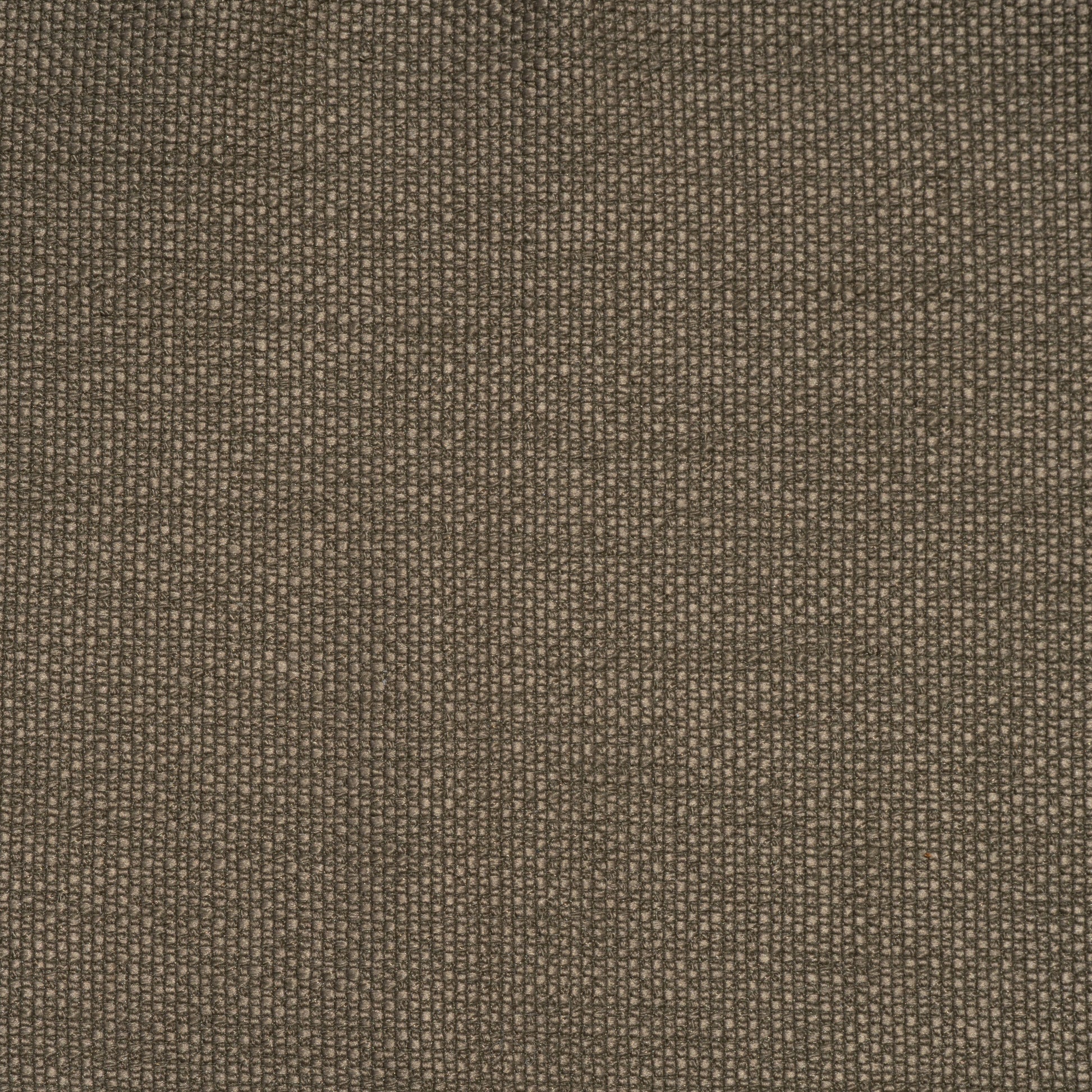 Media Alt Name::Caper::Media Caption :: ||color::Caper