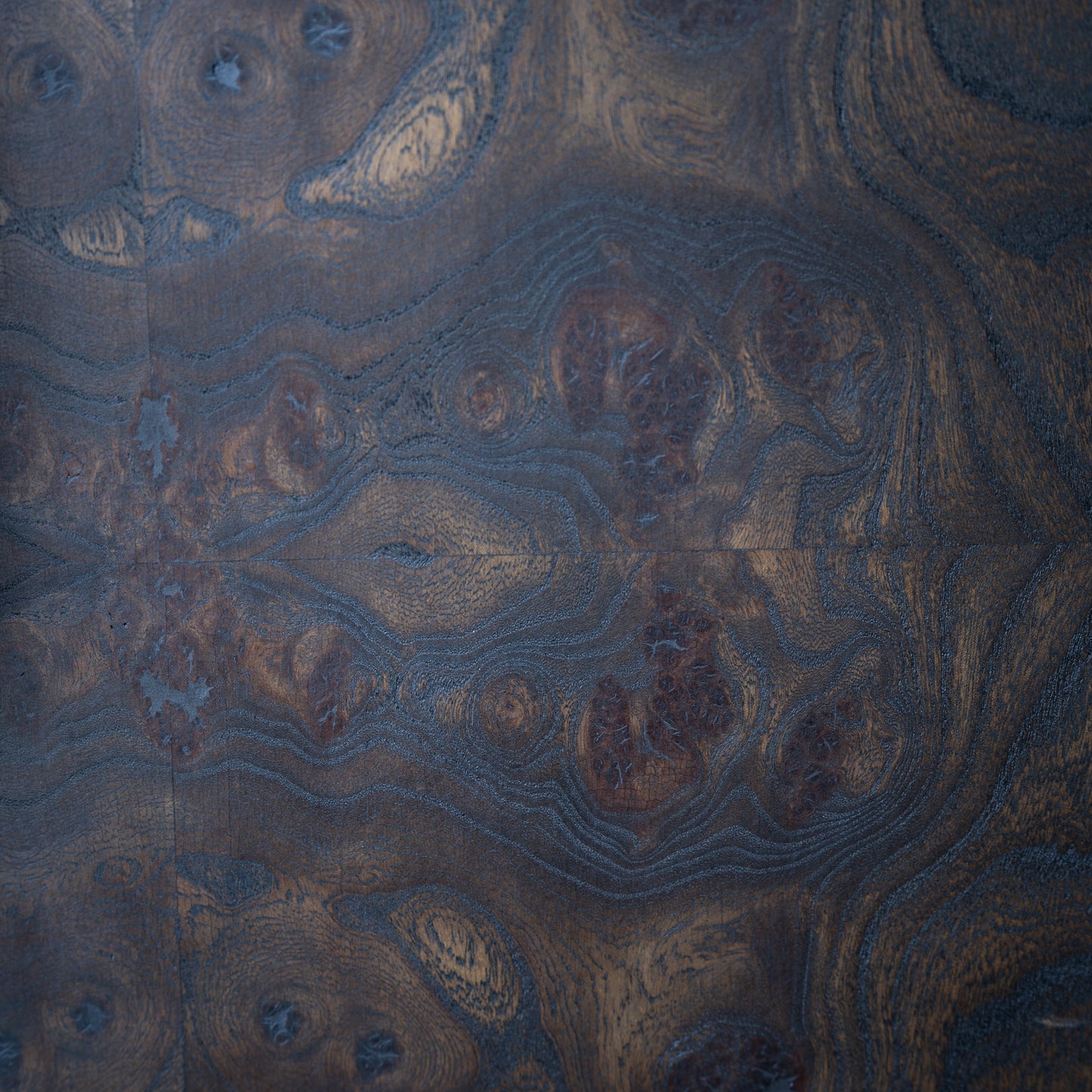 Elm Burl