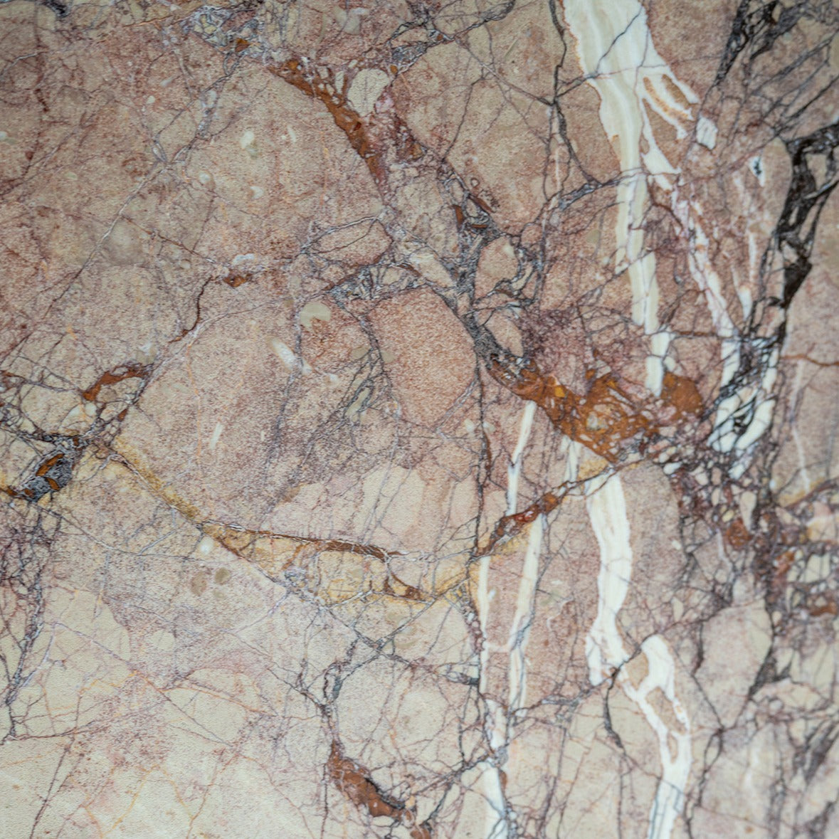 BRECCIA PERNICE