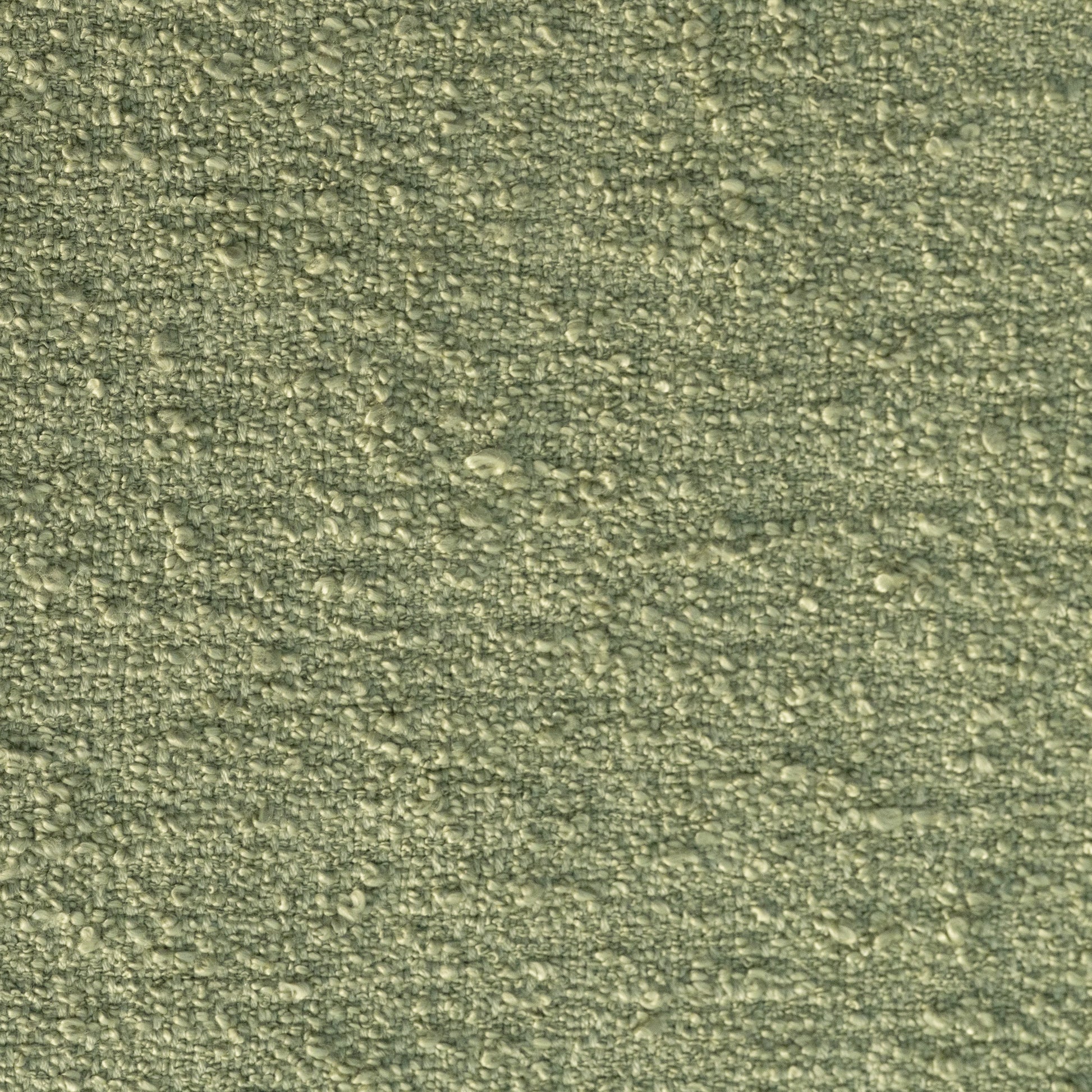 Media Alt Name::Lilypad::Media Caption||color::Lilypad