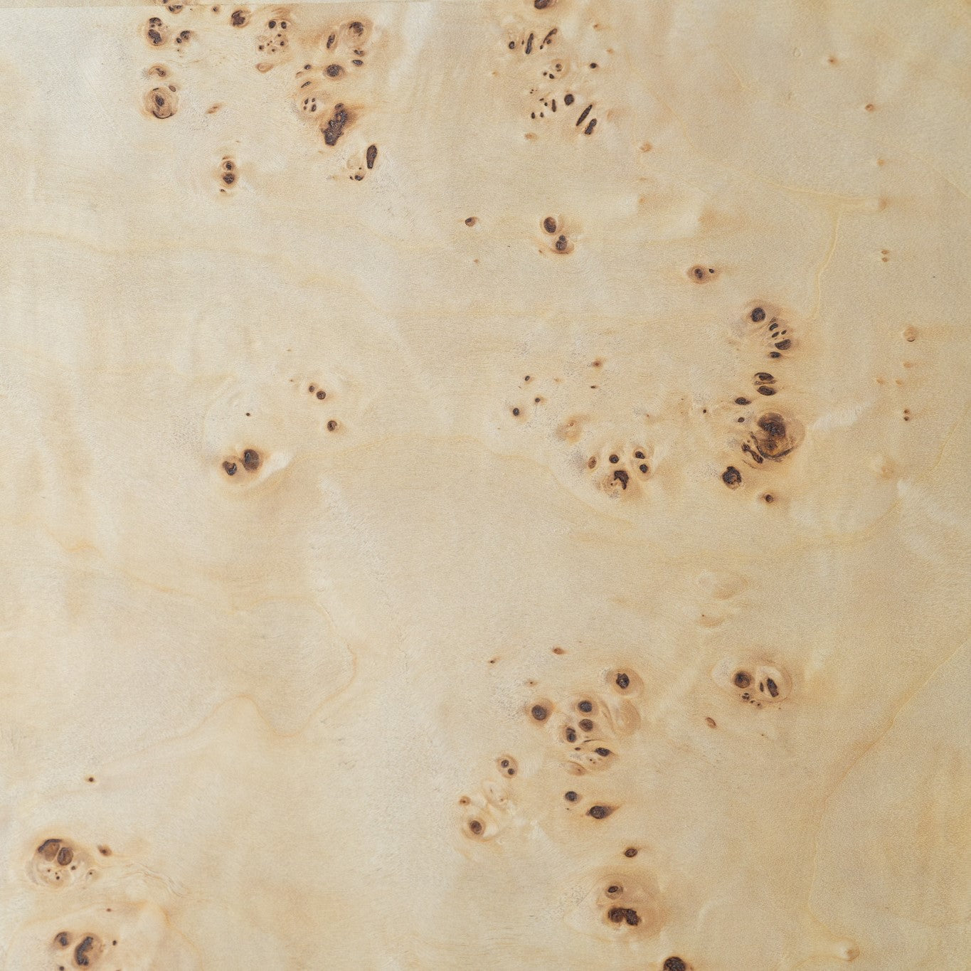 Burl Samples