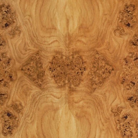 Oak Burl