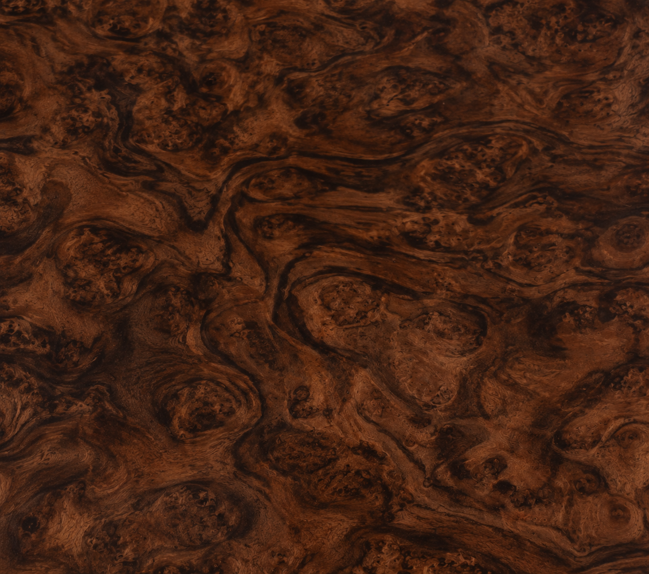 Walnut Burl